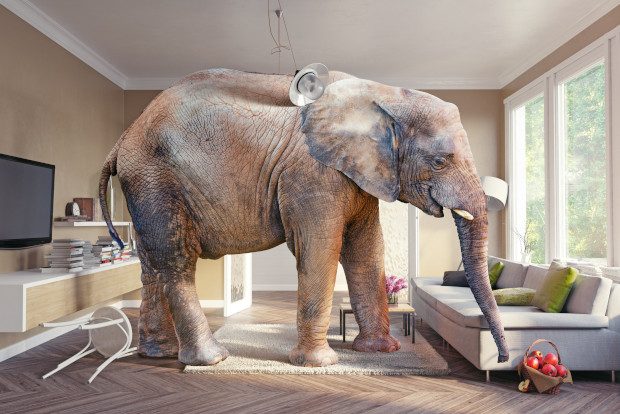 Elephant reaching for basket of apples in a living room.